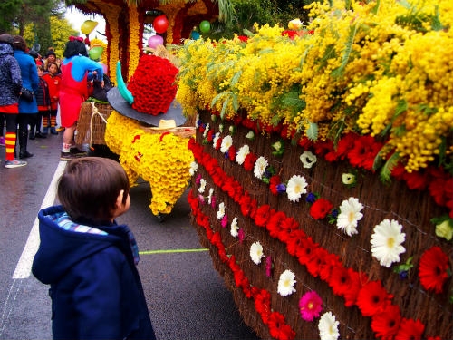 ミモザ祭り.jpg