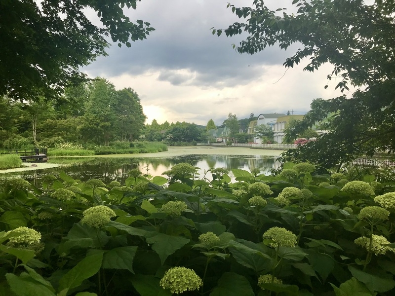 我が家の庭育 番外編 憧れのガーデンソイルへ オススメ記事 松本市 塩尻市 安曇野市のおしゃれなデザインの外構やエクステリアを手がけるgardens Garden 松本東ブログ