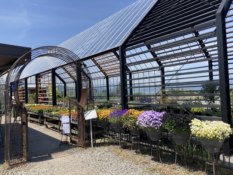 【ブログ】上田市お花屋さんの旅　宿根草のパイオニア「おぎはら植物園」編