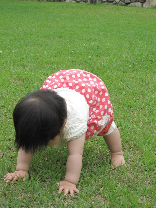 【ブログ】芝生と子どもの成長